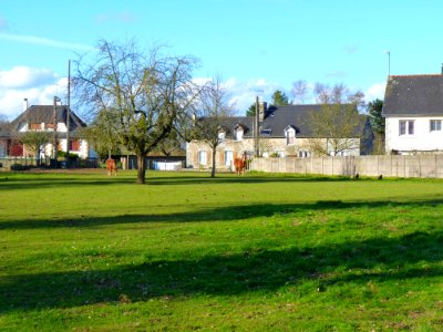 Chevaux près des HLM 3.JPG
