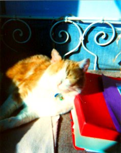 Chatroux Kodak 2
