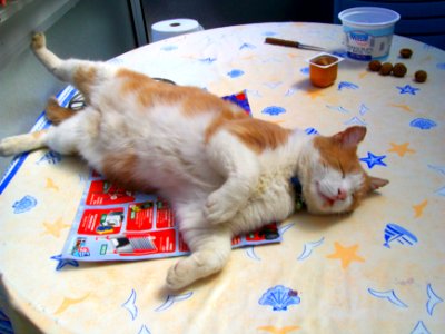 Chatroux en détente