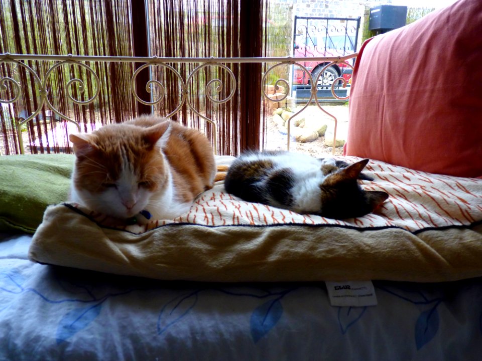 Chatroux et Isidore