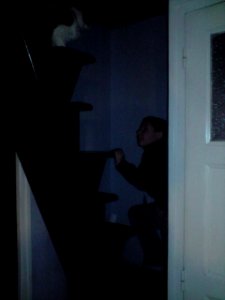 Canisse et Martin dans l'escalier