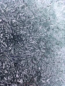 Frosted inside window freezing