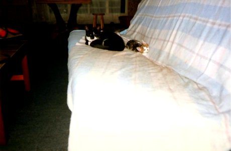 Biscotte et Isidore septembre 1991