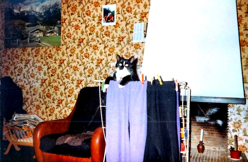 Biscotte dans le séchoir 1993
