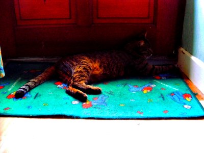 Achille malade