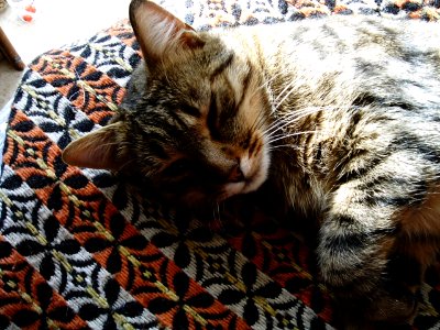 Achille
