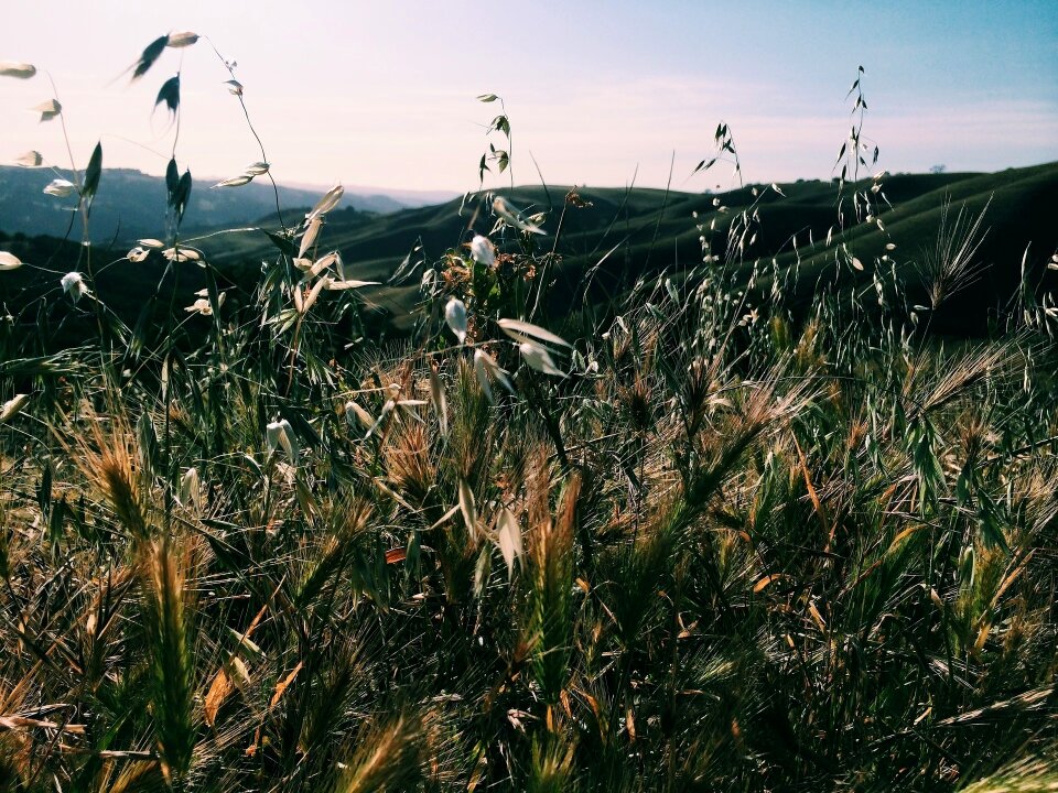 Mountains hills valleys