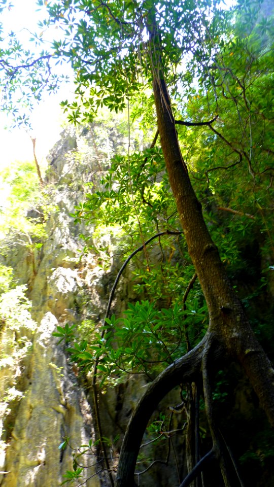 Sortie James Bond Island (12)