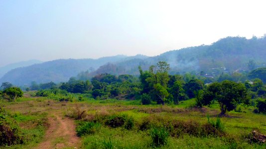 Maetaman elephant camp (78)