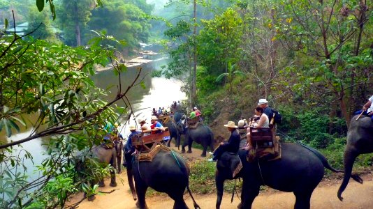 Maetaman elephant camp (71)