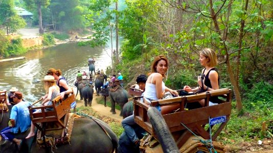 Maetaman elephant camp (68)