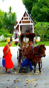 Wat Prakeo Don Tao (4)