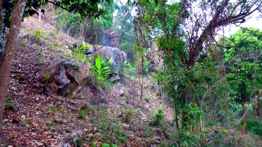 Maetaman elephant camp (44)