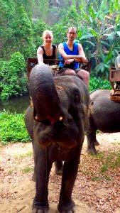 Maetaman elephant camp (40)