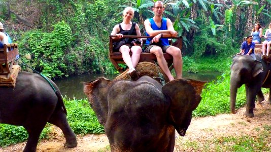 Maetaman elephant camp (37)