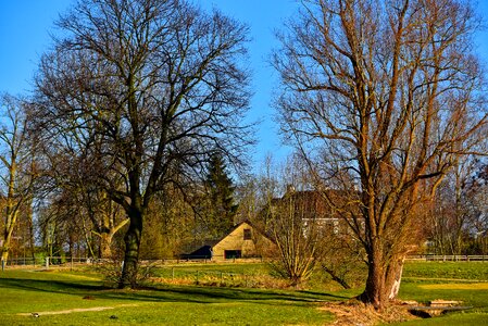 Tree farm house grass