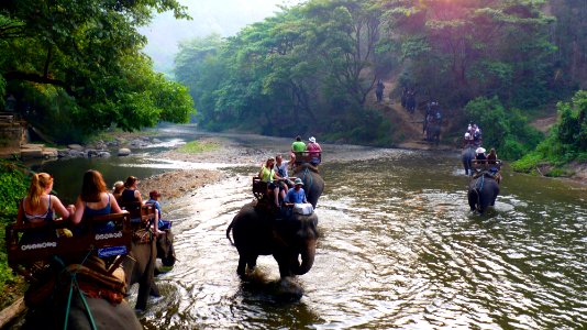 Maetaman elephant camp (3)