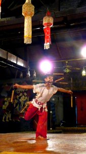 Chang Mai - Diner spectacle (2)