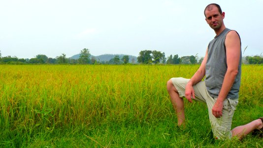 Alentours Lampang rizière (7)