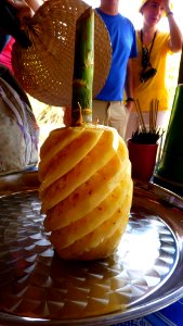 Alentours Lampang plantation d'ananas (9)