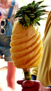 Alentours Lampang plantation d'ananas (7)