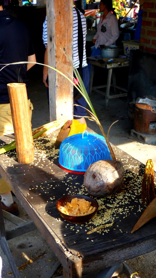 Alentours Bangkok - Noix de coco 4