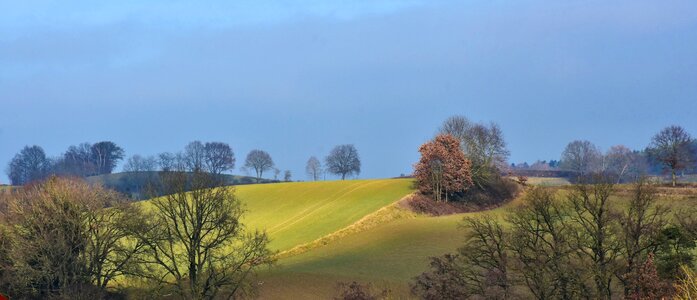Sky landscape grass