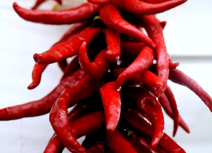 Dry dried spicy photo