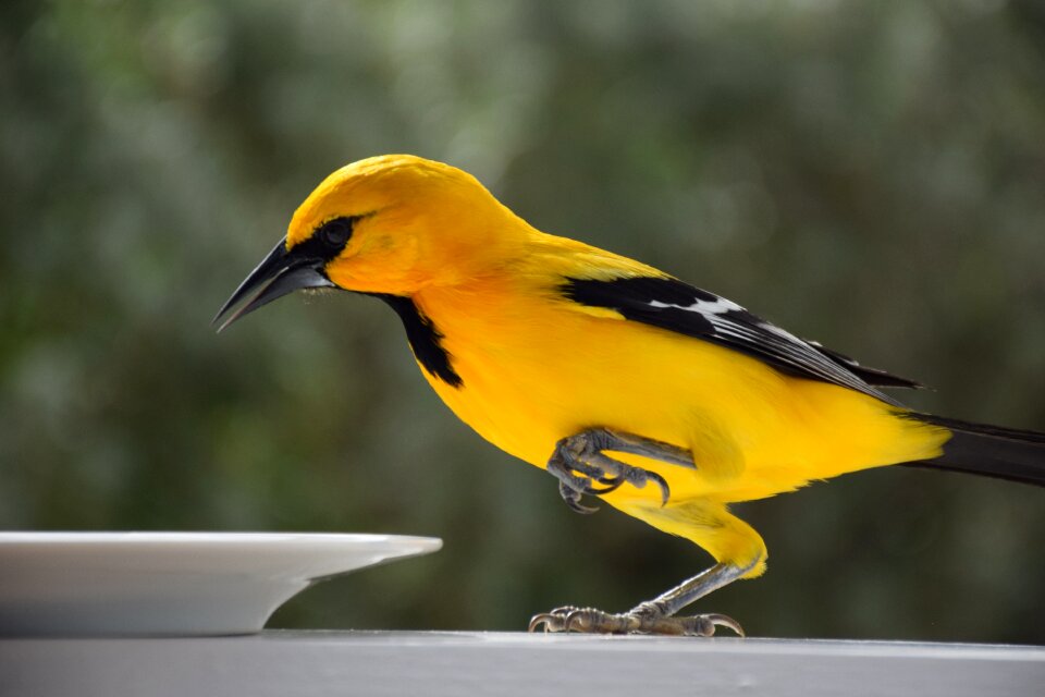 No person outdoor yellow