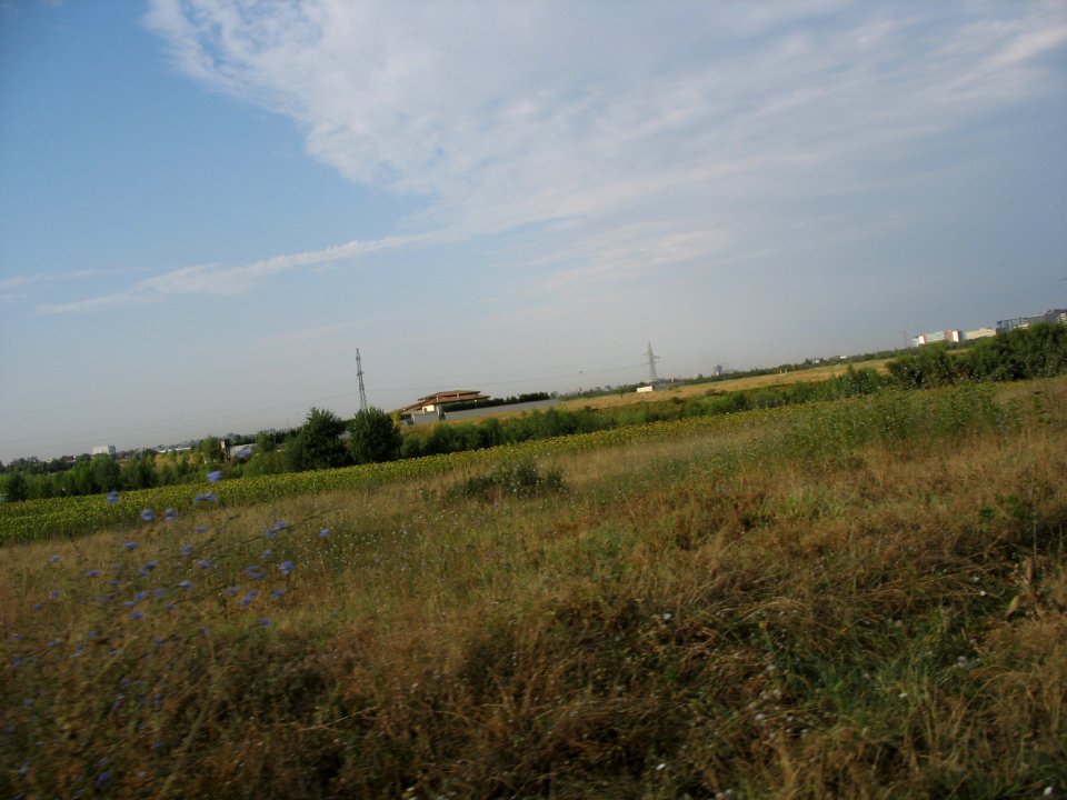 drum-serv-Pipera_Pop2012_0730_072722(1)
