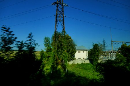 P2950295