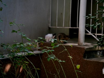 P1040295