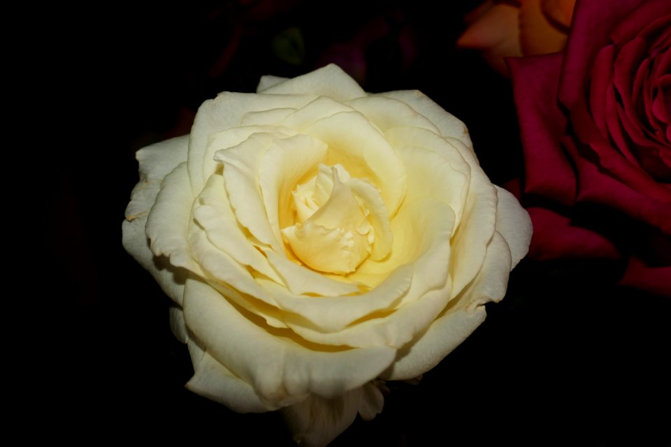 P2640874