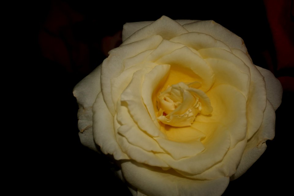 P2640873