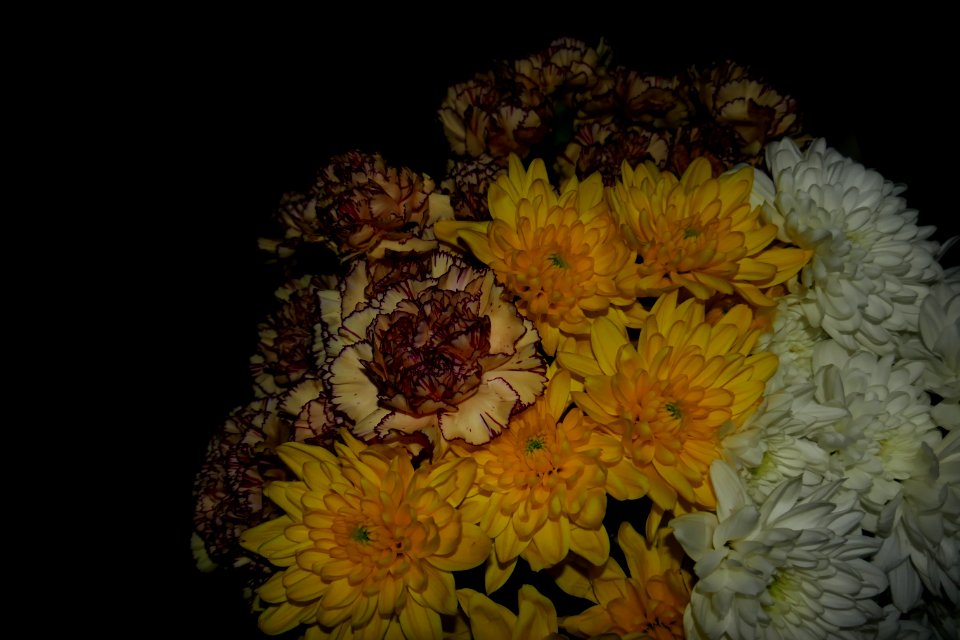P2640589
