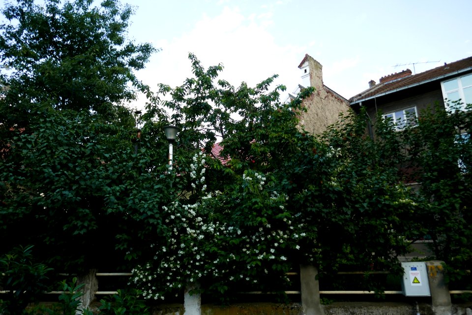 P2640882
