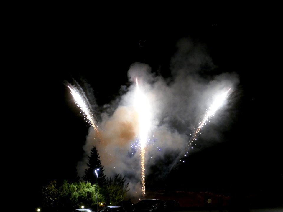 P3090663