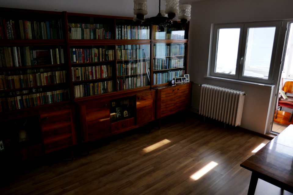 P1960819