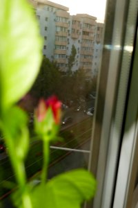 P1960599