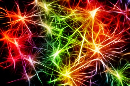 Dendrites sepia excitation brain