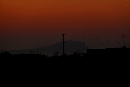 Deva-morning2016_0904_065714