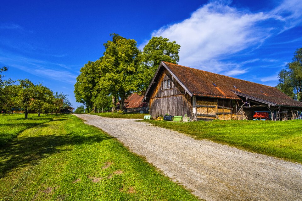 Landscape nature meadow