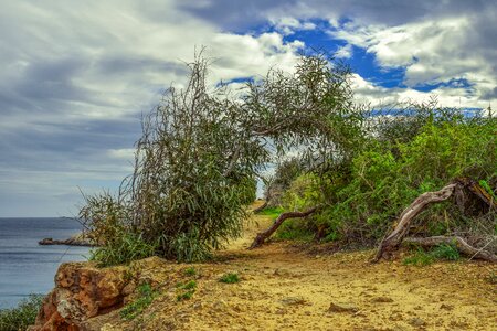 Landscape sky clouds photo