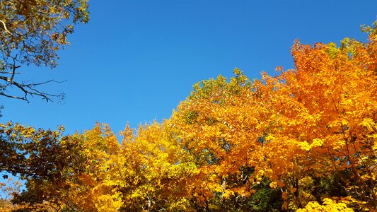 Fall scenic landscape photo