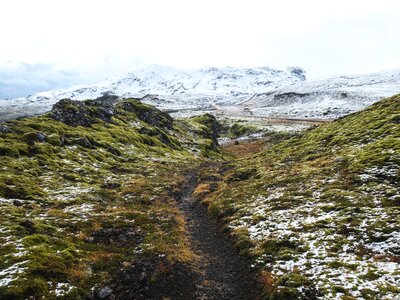 Moss path road photo