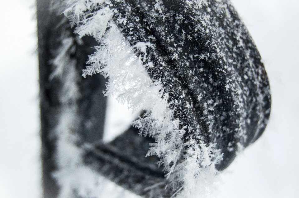 Frost cold season