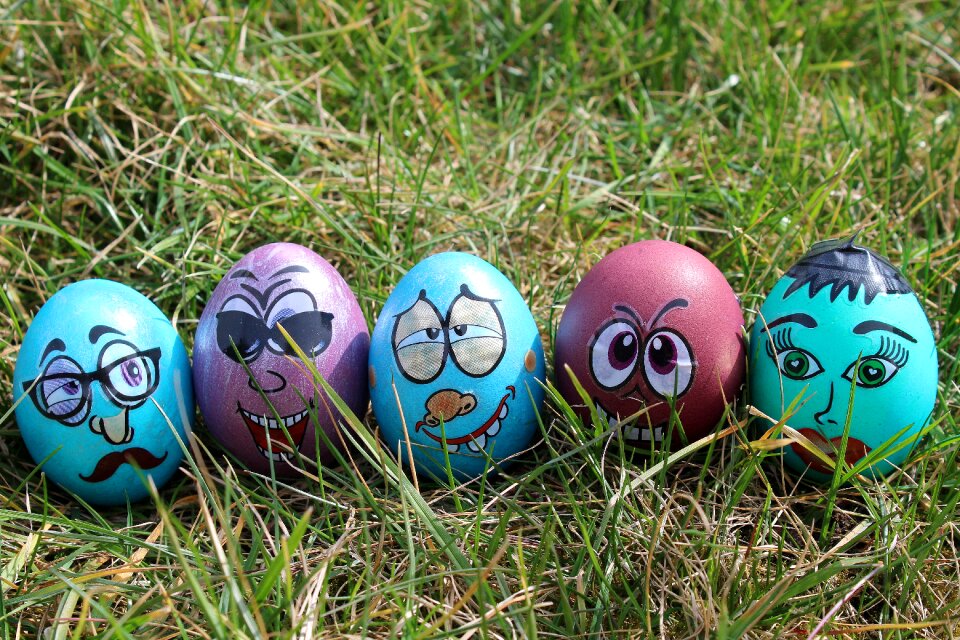 Lawn season funny