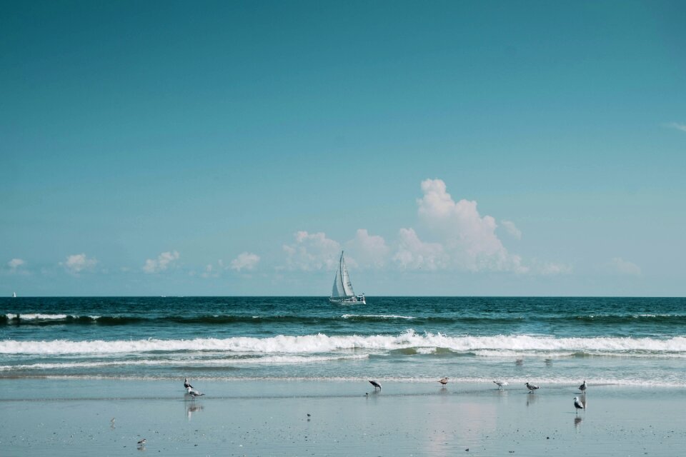 Wave nature beach