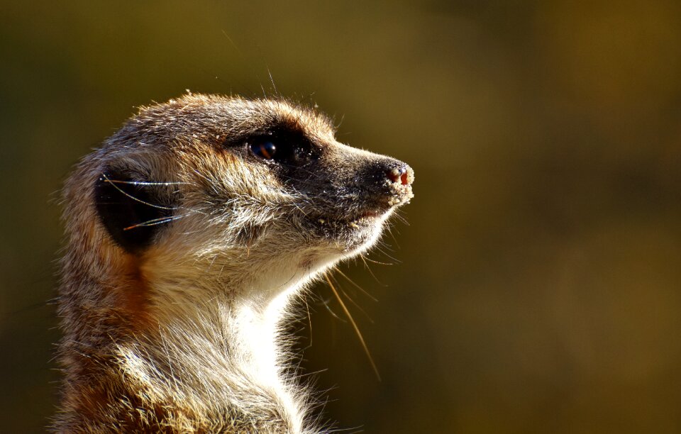Zoo tiergarten small