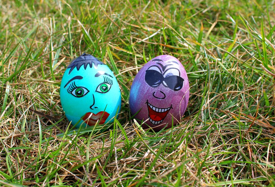Funny easter eggs easter nature